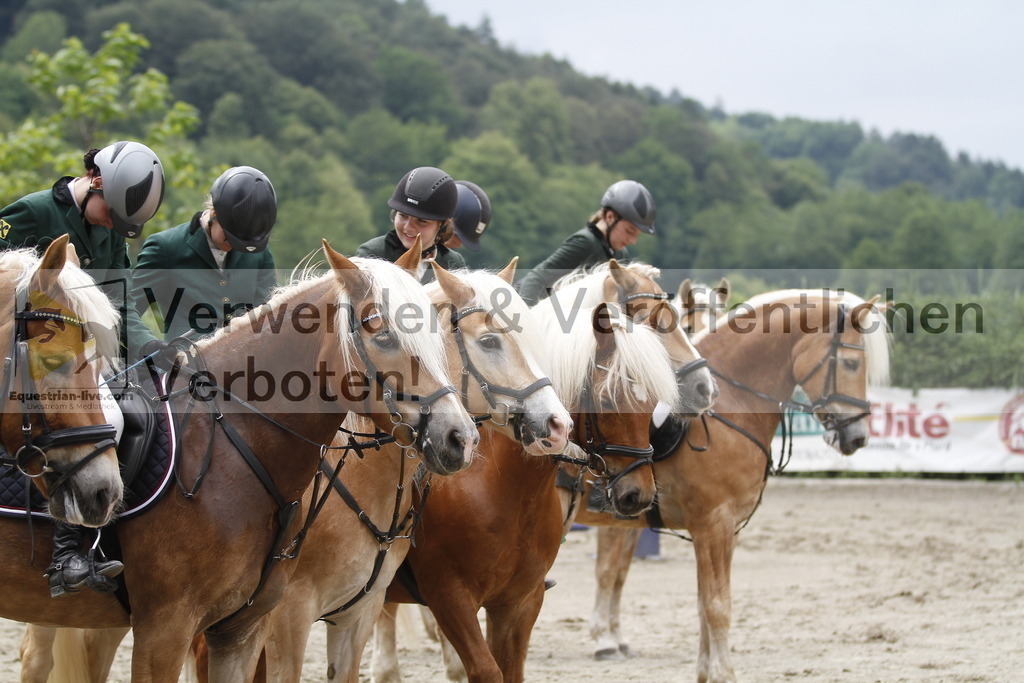 _MG_6817 | equestrian-live-com