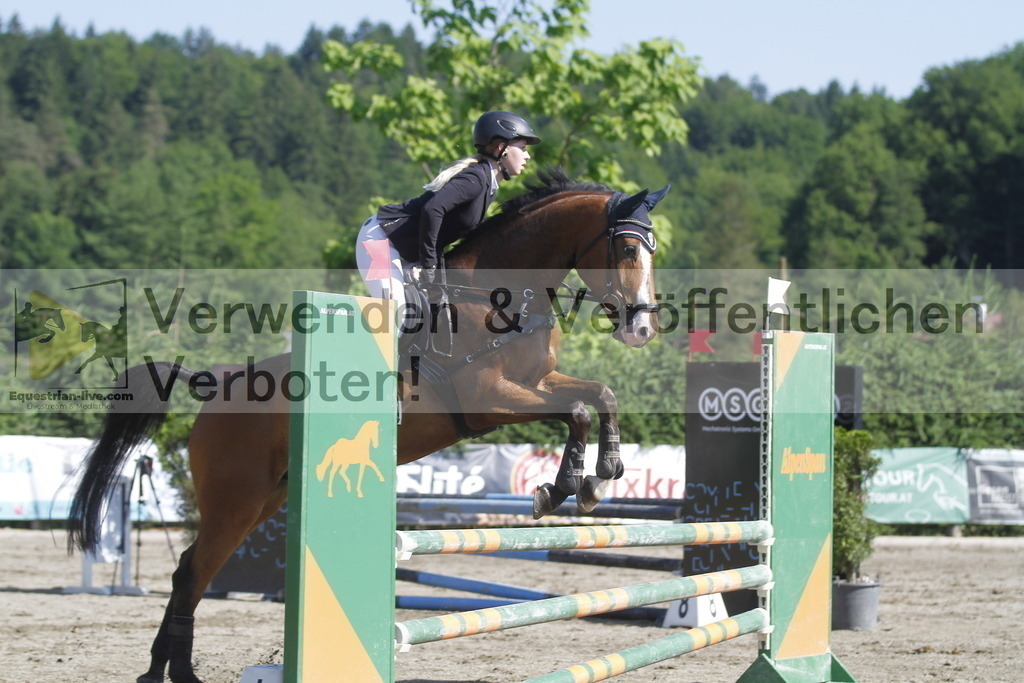 _MG_8298 | equestrian-live-com