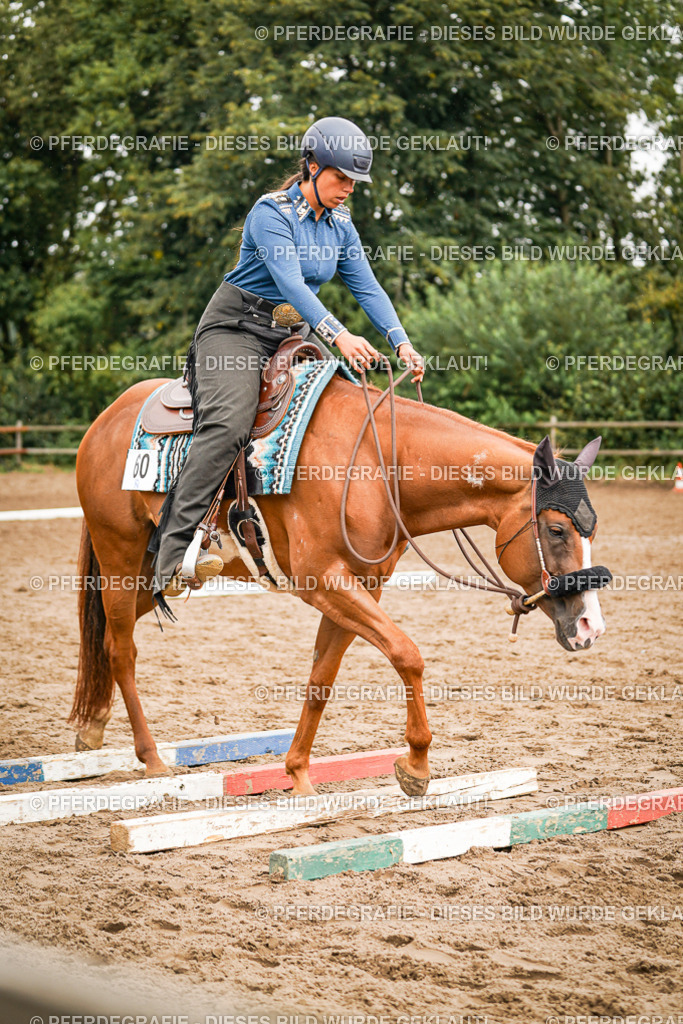 DSC04436 | Pferdegrafie