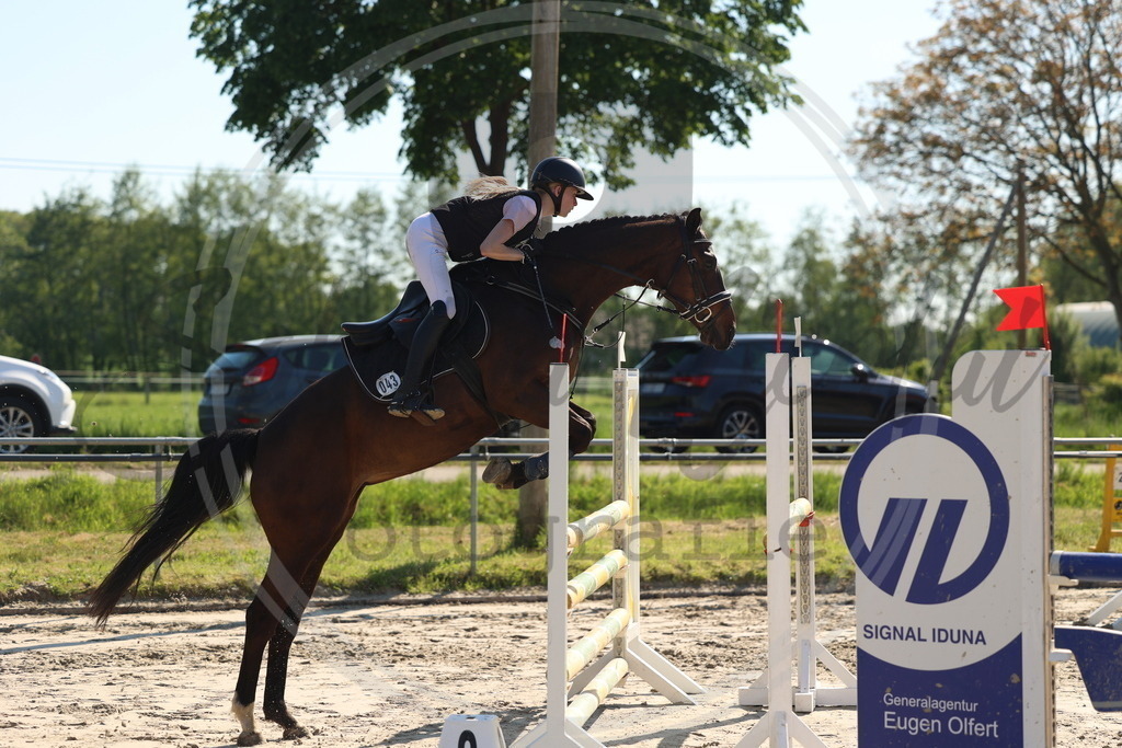 994A6132 | sabrinanicolaifotografie - Realisiert mit Pictrs.com