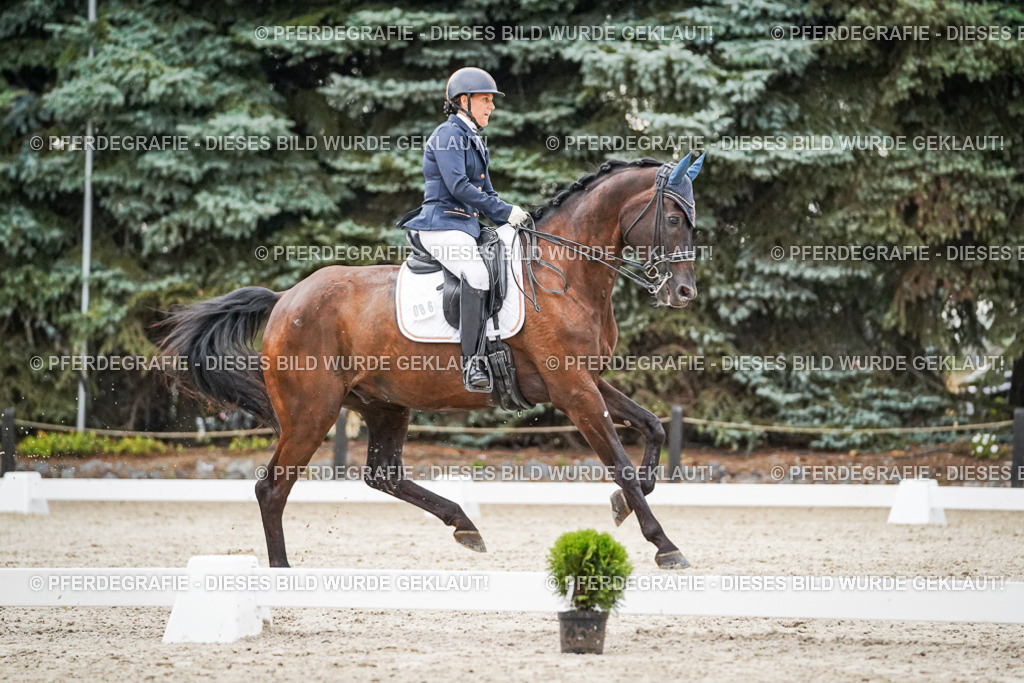 DSC09566 | Pferdegrafie