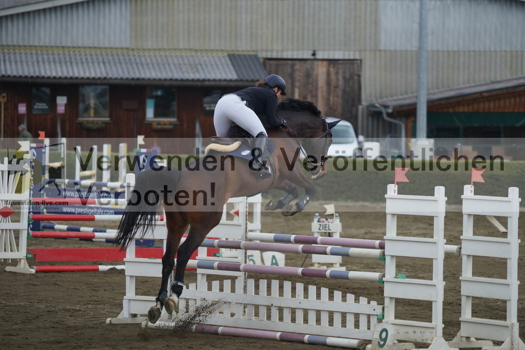 DSC01096 | equestrian-live-com