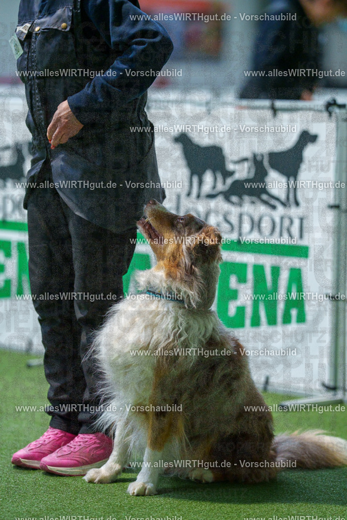7R506362 | Professionelle Tierfotografie in Mönchengladbach von Daniel Wirth (allesWIRTHgut). Liebevolle & natürliche Bilder von Hunden & Katzen für unvergessliche Erinnerungen.