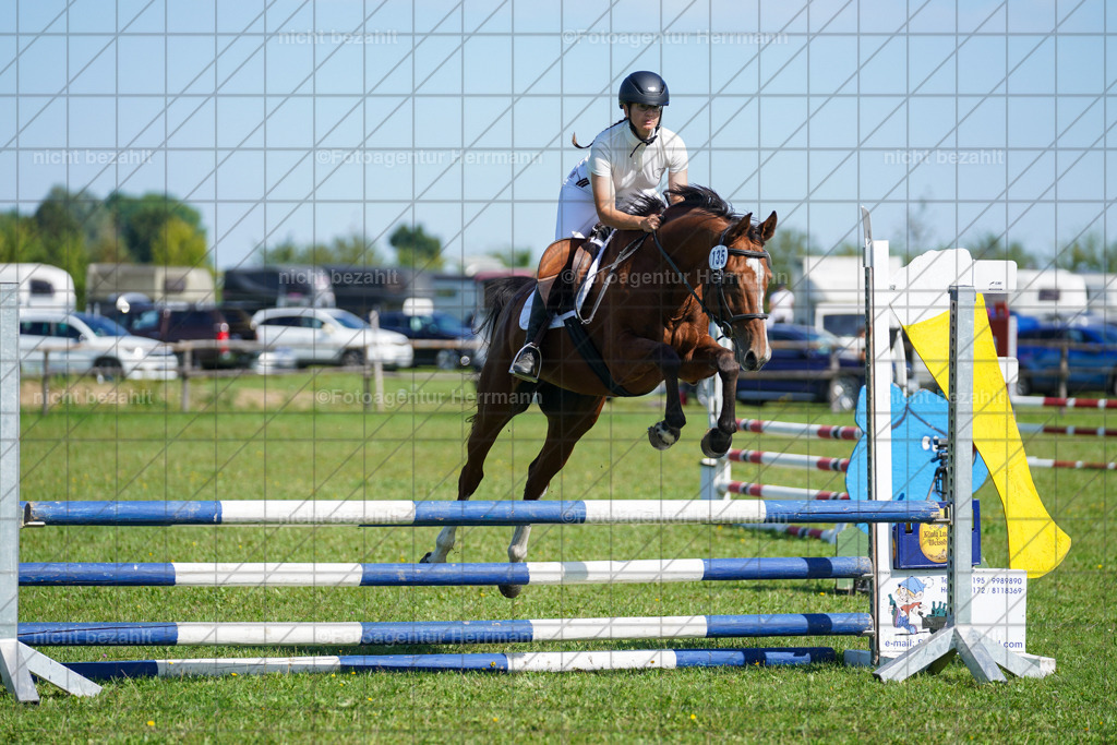 20230917-FAH09450 | Landsberg am Lech, 2023, Kaufbeuren, Kempten, Allgäu, Turnierfotografen Bayern, Fotoagentur Herrmann, Turnierbilder, Reitsport Fotos, Pferdefotograf, Augsburg, Bad Tölz, Dachau, Karlsfeld, Memmingen, Buchloe, Schwabmünchen