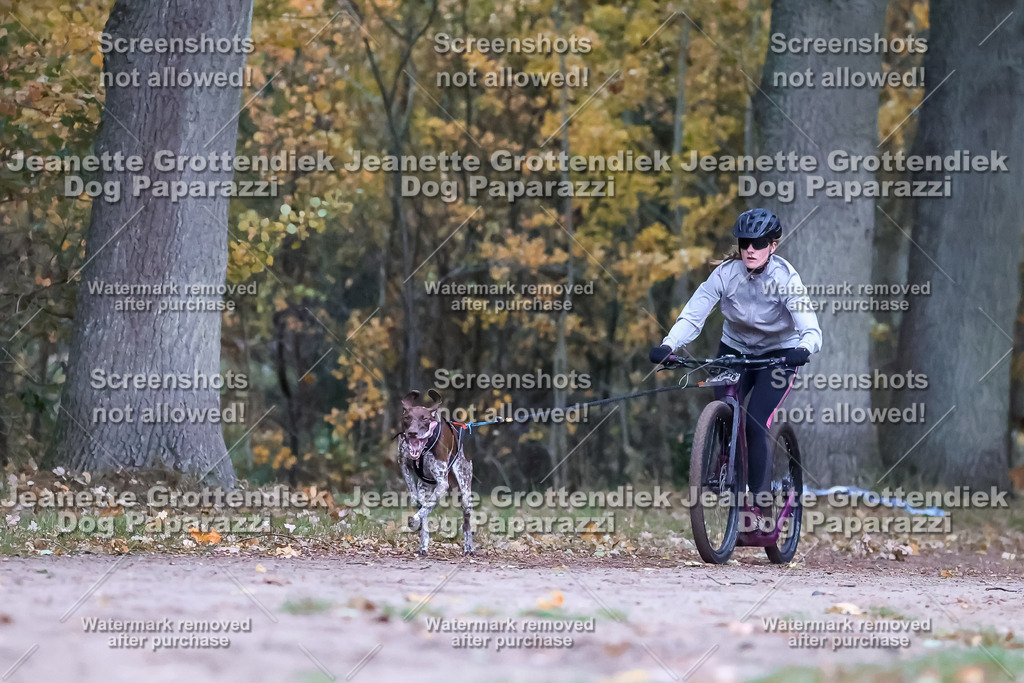 Dog Paparazzi - SD CaniX Championship 2025-28 | Dog Paparazzi Jeanette Grottendiek Fotografie & Videografie - Realisiert mit Pictrs.com