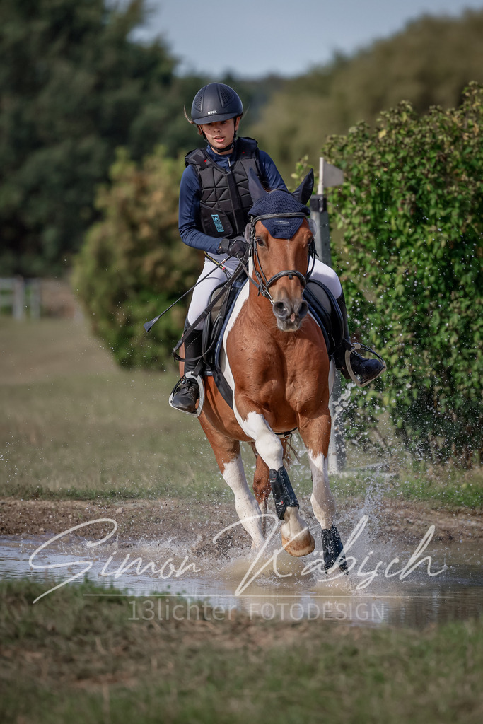 20250907-_3LI9245 | Tierfotografie Pferde, Hunde, Katzen, Haustiere.
Turnierfotografie Reitturniere, Reiten, Springreiten, Dressur in Hanau, dem Main-Kinzig-Kreis und dem Rhein-Main- Gebiet um Frankfurt