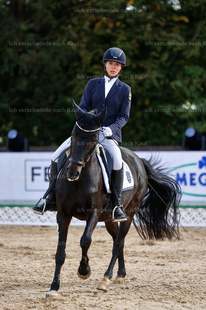 02-173-DRESSUR L_  -StoibPH-4754 | working equitationturnier fotograf videograf stoibphotography marixx film working equitation deutschland reitsport turnierfotografie eventfotografie equestrian events