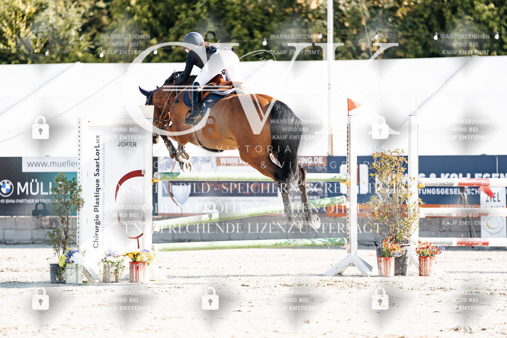 CK901726 | Turnierfotografie Pferdefotografie Trier Rheinland-Pfalz Pferdesport Reitsport Tierfotografie Sportfotografie Pferdevideo Pferdevideografie Equestrianvideography equestrianphotography  - Realisiert mit Pictrs.com