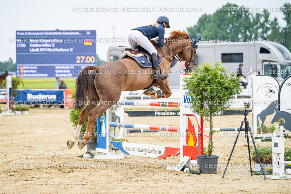 DSC07934 | Pferdegrafie