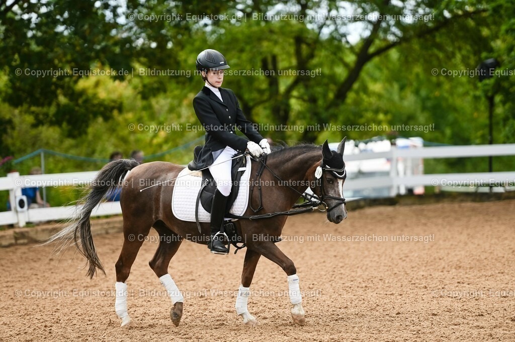 20230716_10-2_Reiter-WB Schritt - Trab - Galopp_0055 | equistock