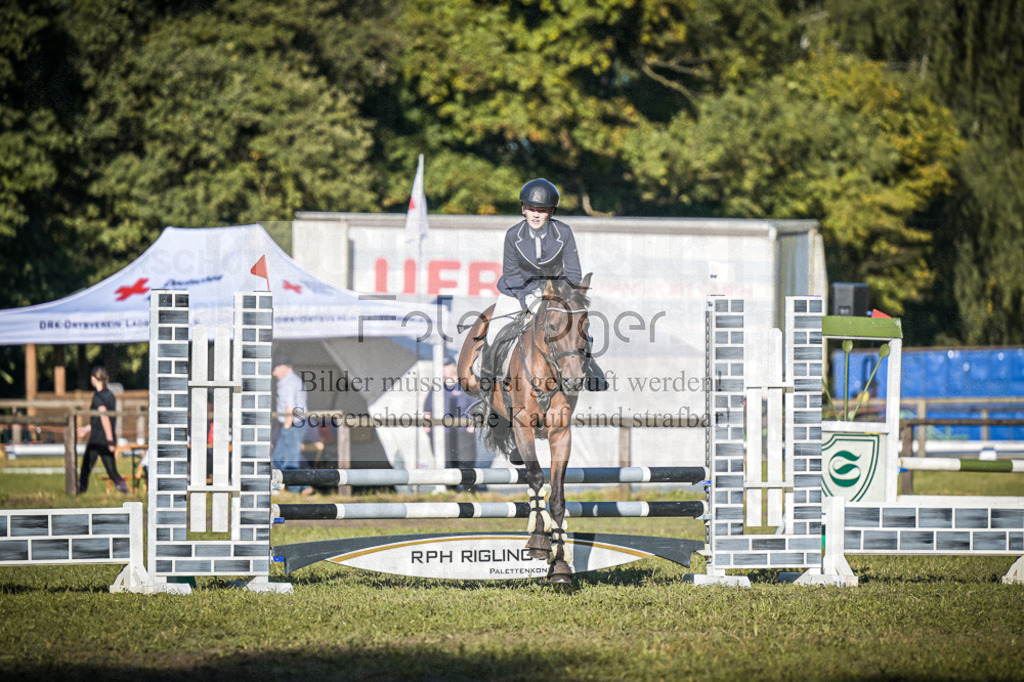 DOS_0552 | Entdecke hochwertige Reitturnierfotos von Foto Oger. Professionell, emotional und authentisch – jetzt Lieblingsmomente im Shop bestellen.Deutschlandweite Turnierfotografie. - Realisiert mit Pictrs.com