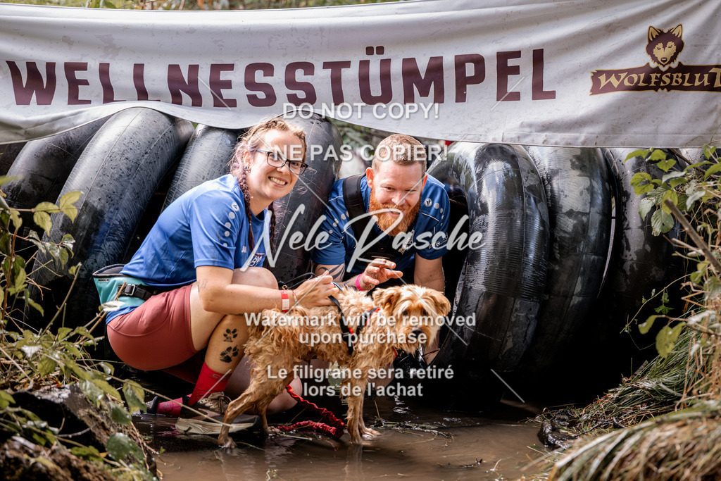 nelerasche_Hunsrück2026_Sa1400-1500_151 | nelerasche