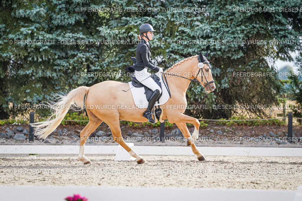 DSC00884 | Pferdegrafie