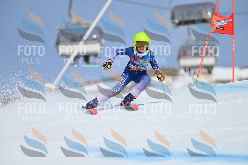 BGV_0246 | holidayphoto