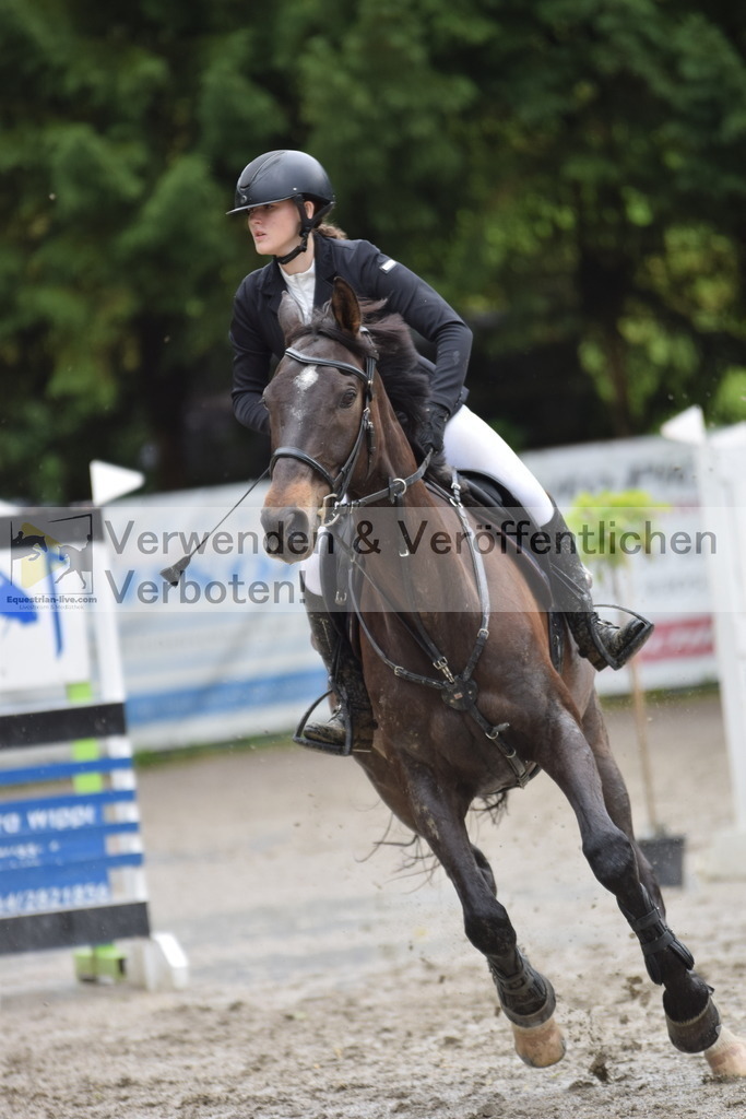 DSC_0019 | equestrian-live-com