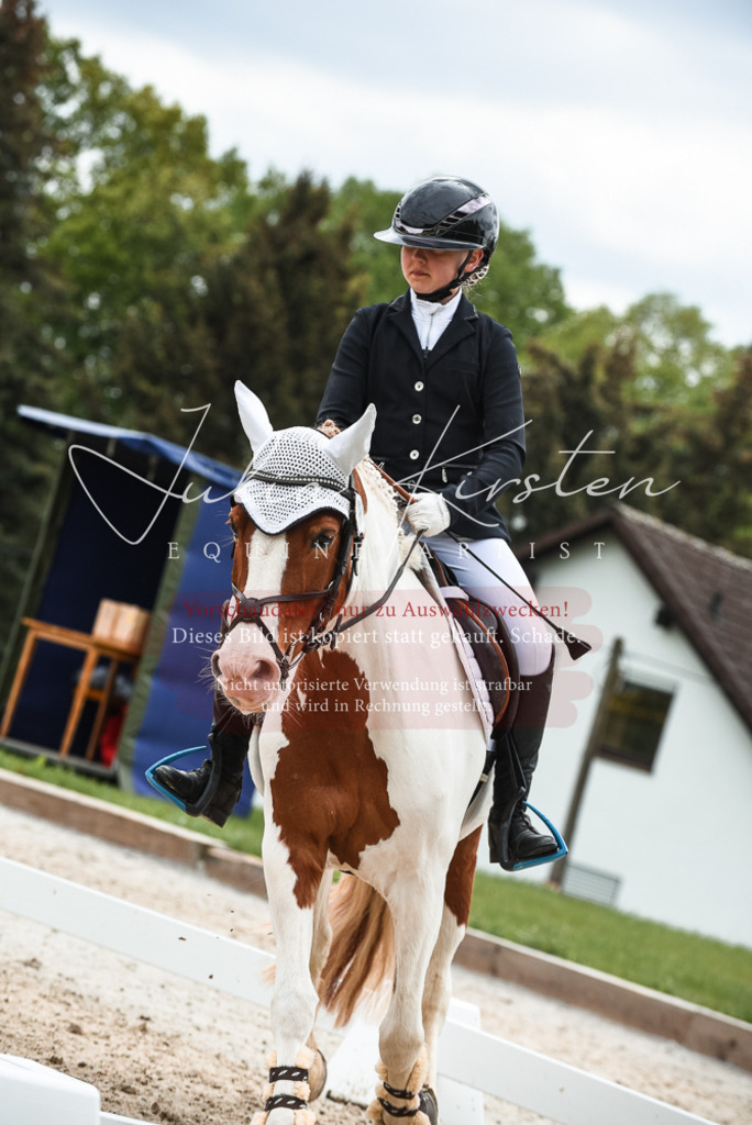 20230518_JK-Röhrsdorf-10-642 | Pferde- und Turnierfotografie in Westsachsen. Pferdeportraits, Auftragszeichnungen und intuitive Kunst.