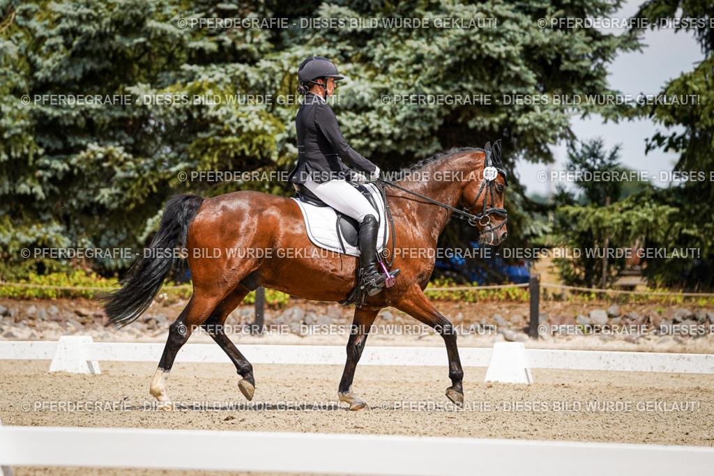 DSC02428 | Pferdegrafie