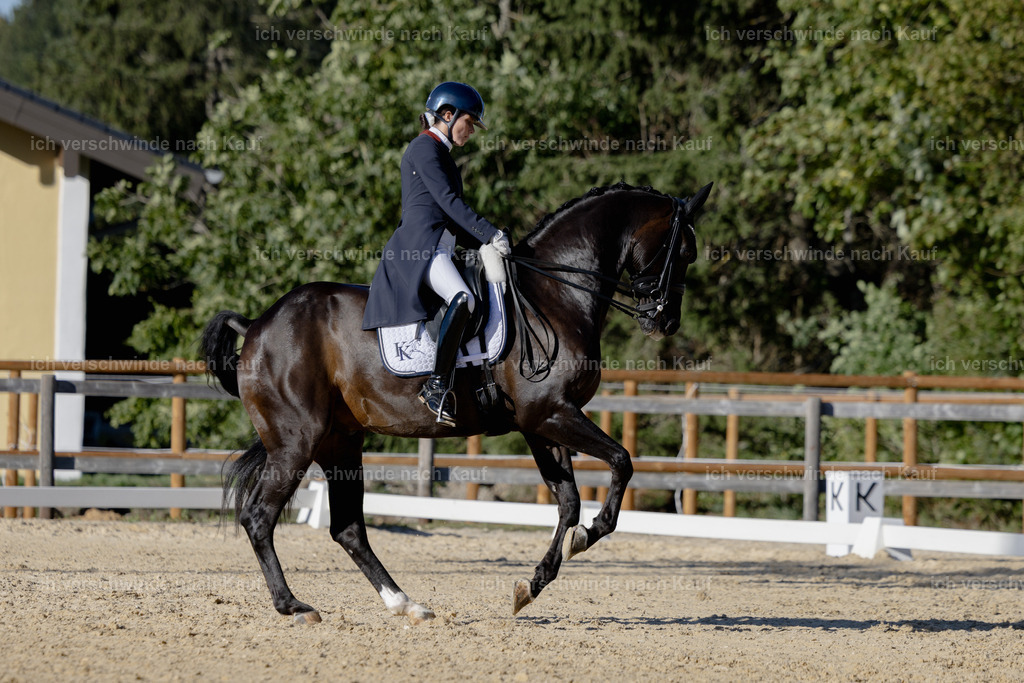FHC2026_P09_95_18875 | Fichtenhof Classics 2026 – Grand Prix de Dressage - VOLTAIRE Design Preis, Reitanlage Fichtenhof, Sch ftlarn