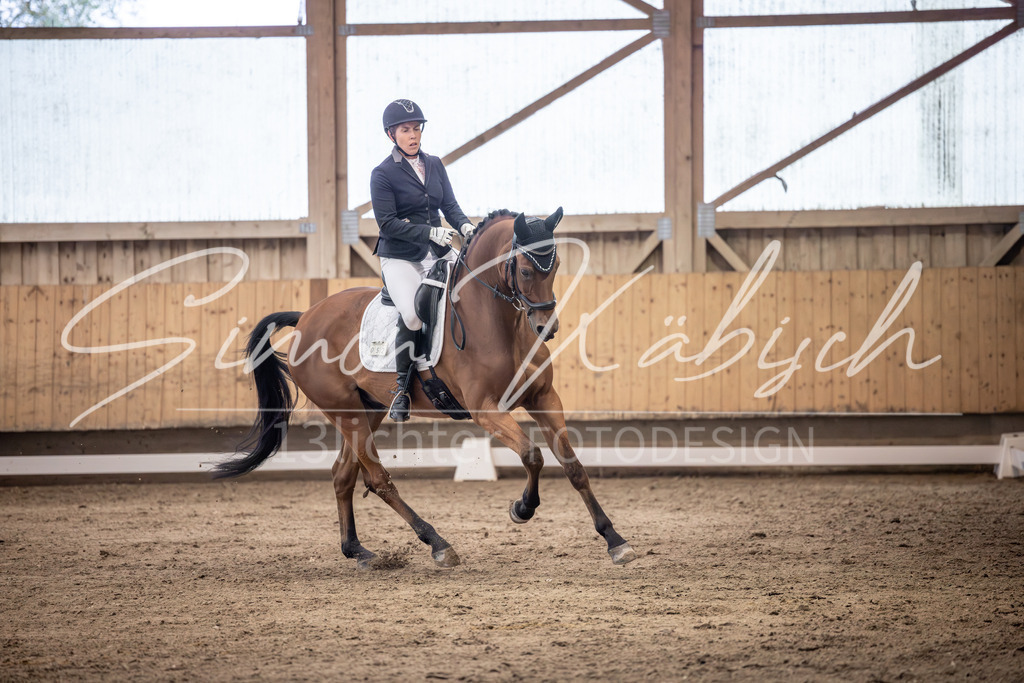 20251011-_3LI1602 | Tierfotografie Pferde, Hunde, Katzen, Haustiere.
Turnierfotografie Reitturniere, Reiten, Springreiten, Dressur in Hanau, dem Main-Kinzig-Kreis und dem Rhein-Main- Gebiet um Frankfurt
