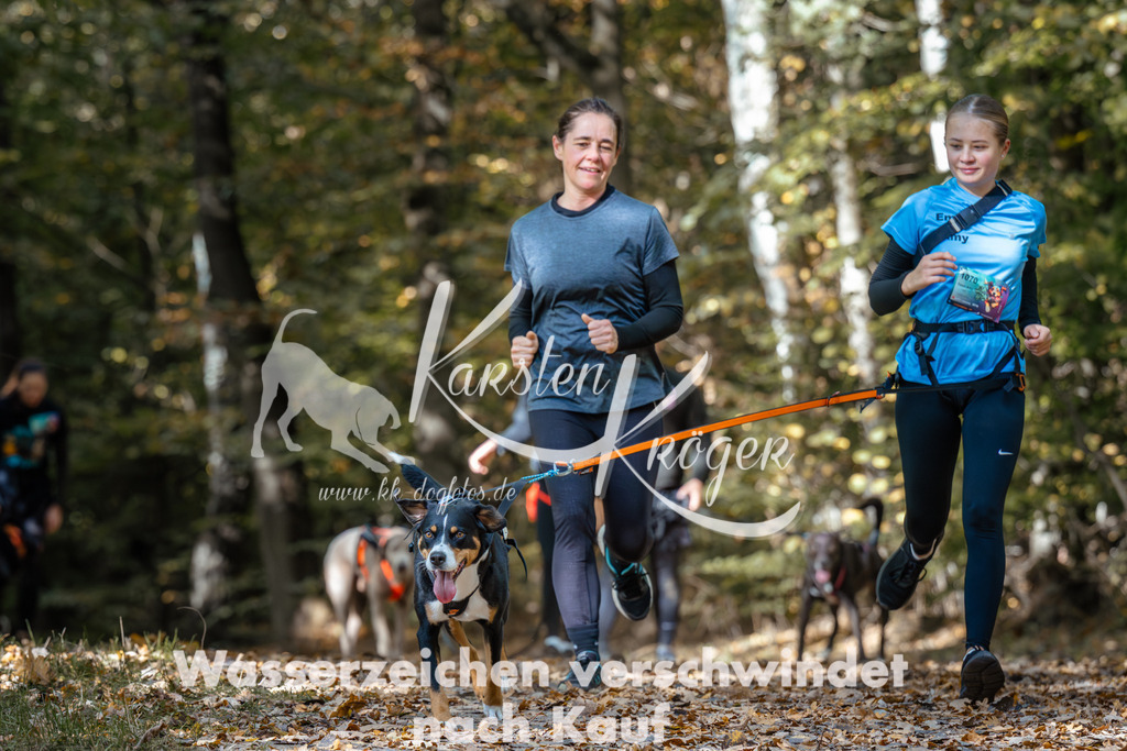1254_ZZ96570 | kk-dogfotos
