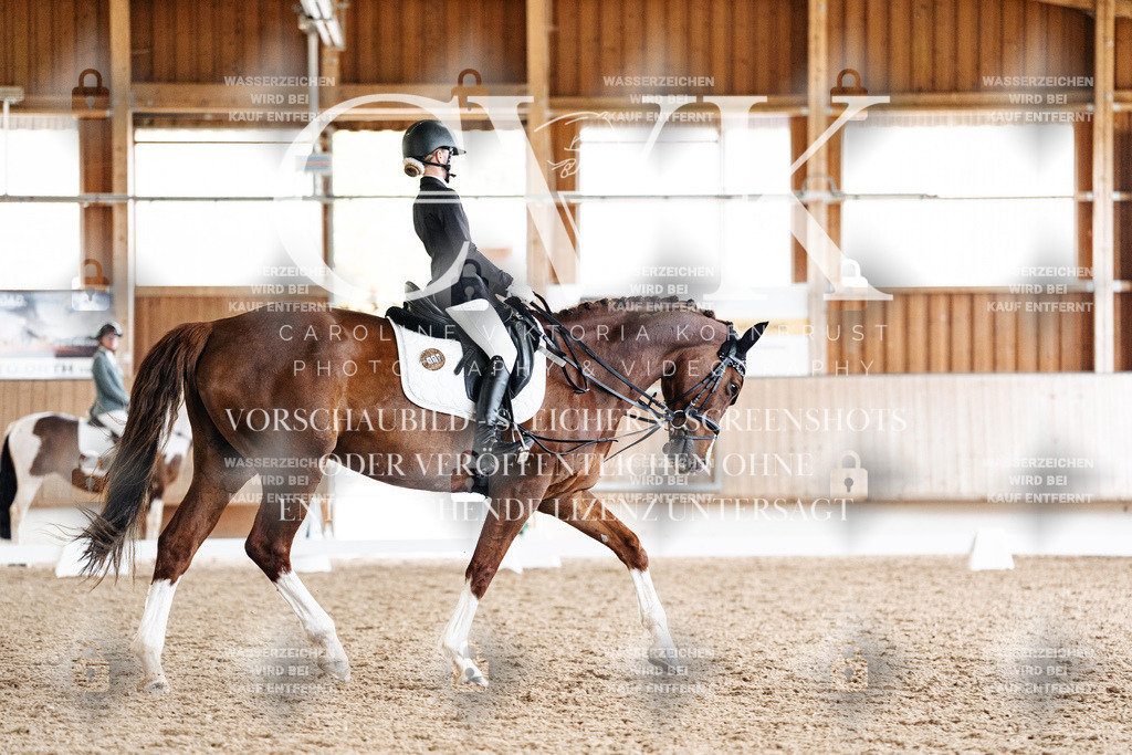CK900971 | Turnierfotografie Pferdefotografie Trier Rheinland-Pfalz Pferdesport Reitsport Tierfotografie Sportfotografie Pferdevideo Pferdevideografie Equestrianvideography equestrianphotography  - Realisiert mit Pictrs.com