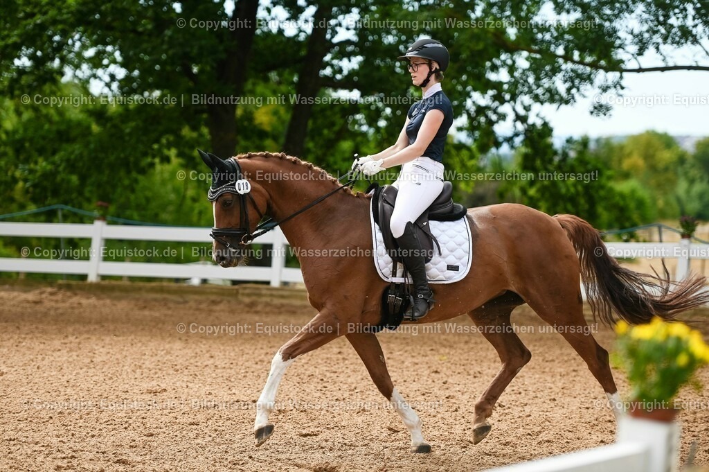 20230715_07_Dressurpferdeprfg. Kl.L_0087 | equistock