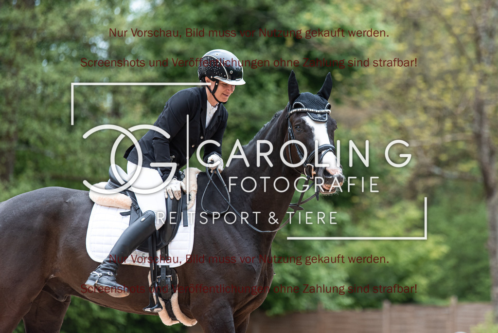 DSC_6782 | Turnierfotografin Carolin Gieschke,Reitsport Turnierfotografie Carolin G Fotografie | Turnierfotos aus Kirchheim/Teck, Esslingen, Stuttgart und dem Bodenseekreis