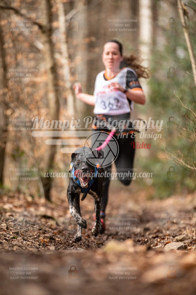 SPA_2023_DIM_CCK-188 | PayLife