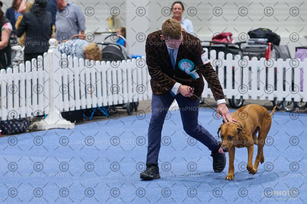 202406_ÖKV-IHA-Tulln24_DSC_3107 | proPHOTO - Realisiert mit Pictrs.com