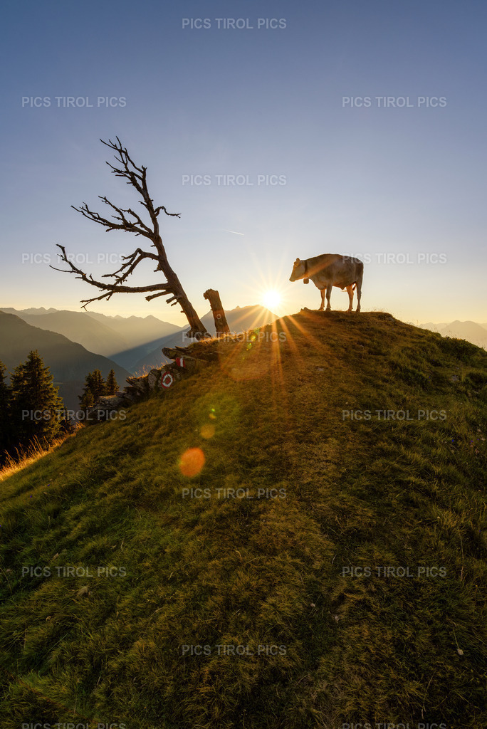 DSC_9282-Verbessert-RR-Bearbeitet | Tirolpics
