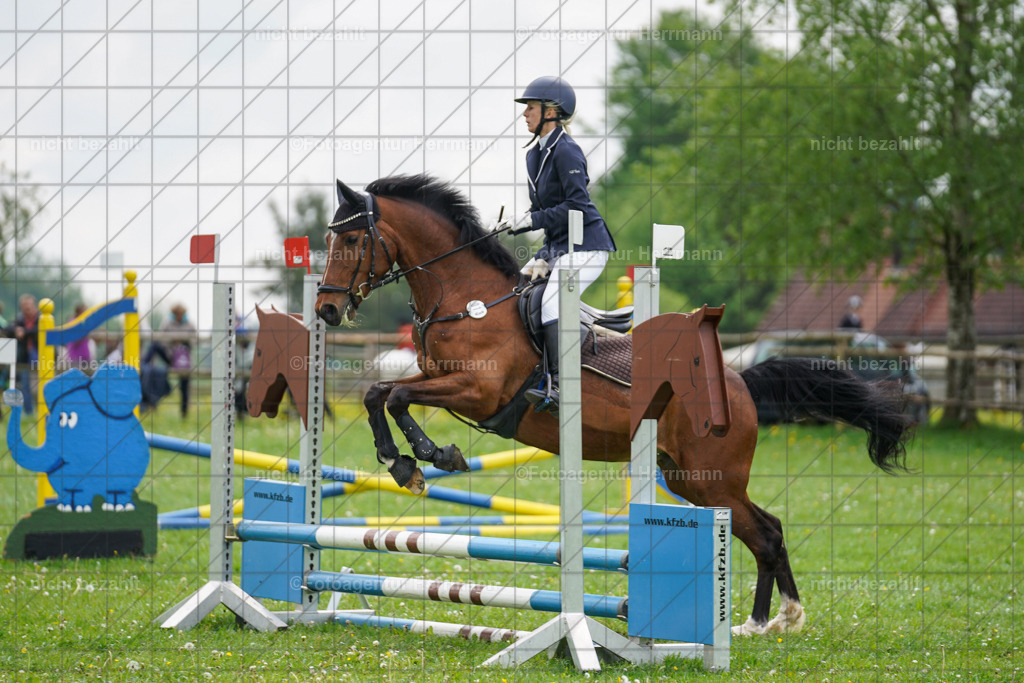 20240509-FAH02378 | Turnierbilder der Turnierfotografen Bayern, Pferdesport Fotografie, Reitsportbilder, Turnier Landberg am Lech, Turnierbilder bayern, Fotoagentur Herrmann