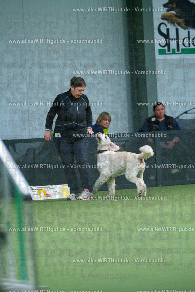 7R500772 | Professionelle Tierfotografie in Mönchengladbach von Daniel Wirth (allesWIRTHgut). Liebevolle & natürliche Bilder von Hunden & Katzen für unvergessliche Erinnerungen.