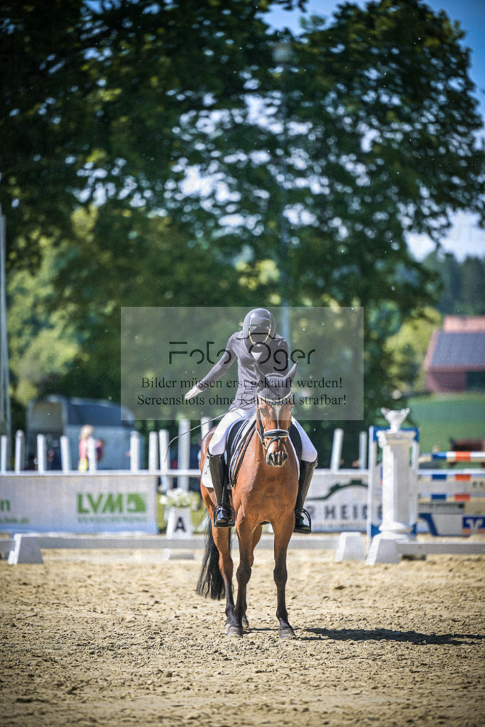 DOS_9479 | Entdecke hochwertige Reitturnierfotos von Foto Oger. Professionell, emotional und authentisch – jetzt Lieblingsmomente im Shop bestellen.Deutschlandweite Turnierfotografie. - Realisiert mit Pictrs.com