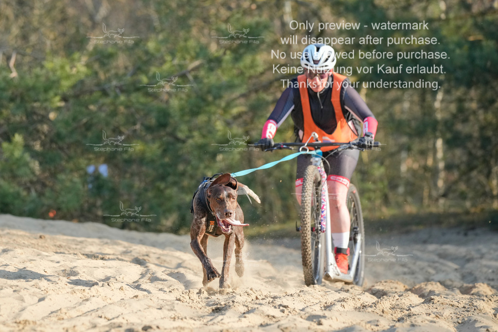 So_Scooter-25 | stephaniefillaphotographie - Realisiert mit Pictrs.com