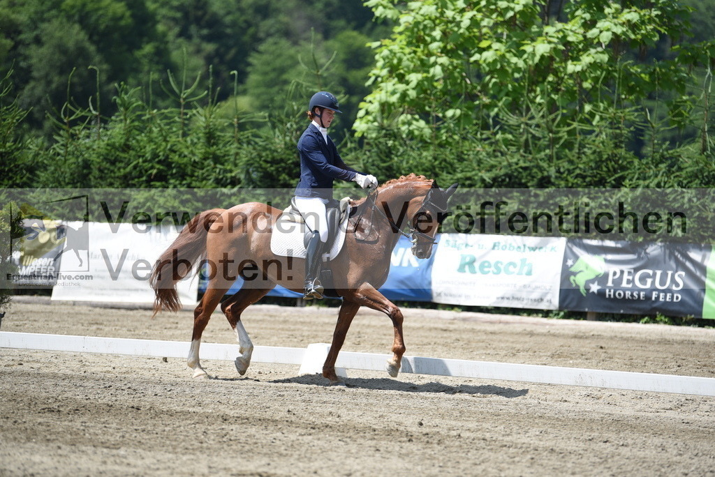 DSC_0594 | equestrian-live-com