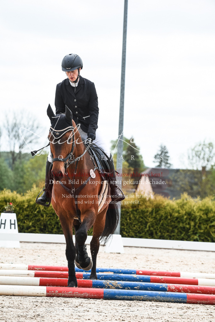 20230518_JK-Röhrsdorf-10-330 | Pferde- und Turnierfotografie in Westsachsen. Pferdeportraits, Auftragszeichnungen und intuitive Kunst.