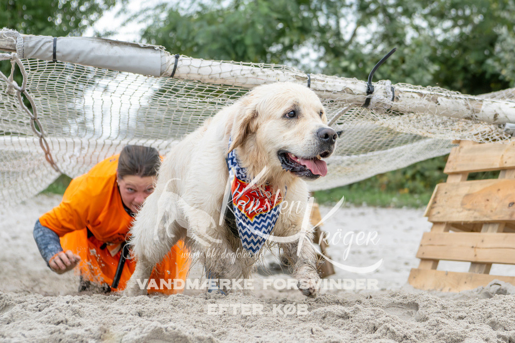 1539_ZZ96288 | kk-dogfotos