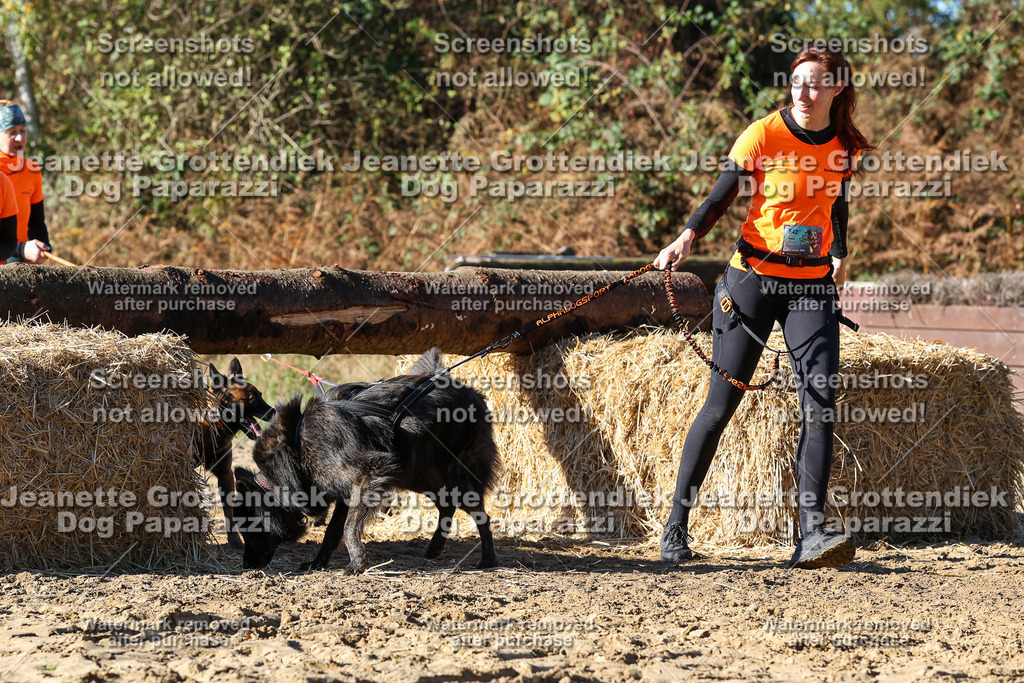 Dog Paparazzi - Strongdog 10-25-2020 | Dog Paparazzi Jeanette Grottendiek Fotografie & Videografie - Realisiert mit Pictrs.com