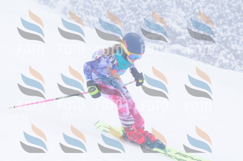 C3604 | holidayphoto