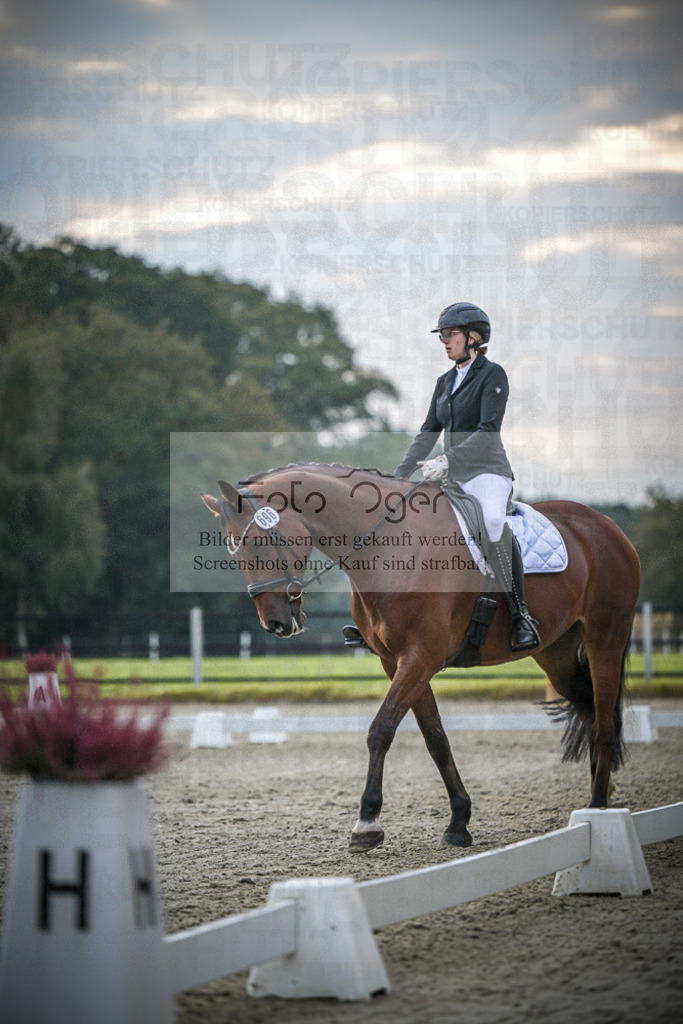 DOS_1772 | Entdecke hochwertige Reitturnierfotos von Foto Oger. Professionell, emotional und authentisch – jetzt Lieblingsmomente im Shop bestellen.Deutschlandweite Turnierfotografie. - Realisiert mit Pictrs.com