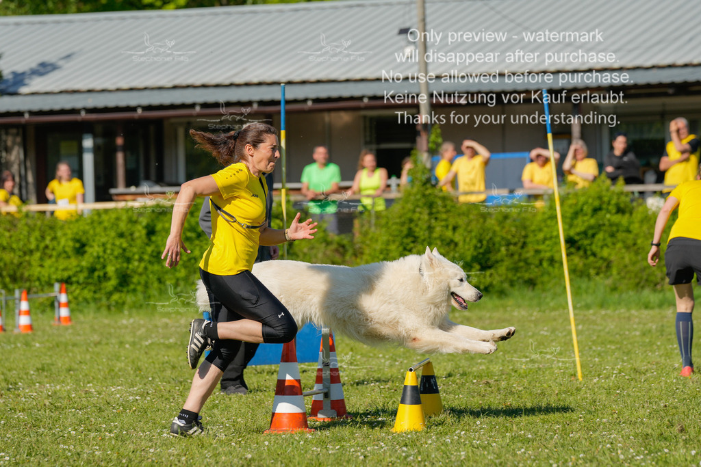 Sa_CSC-375 | stephaniefillaphotographie - Realisiert mit Pictrs.com