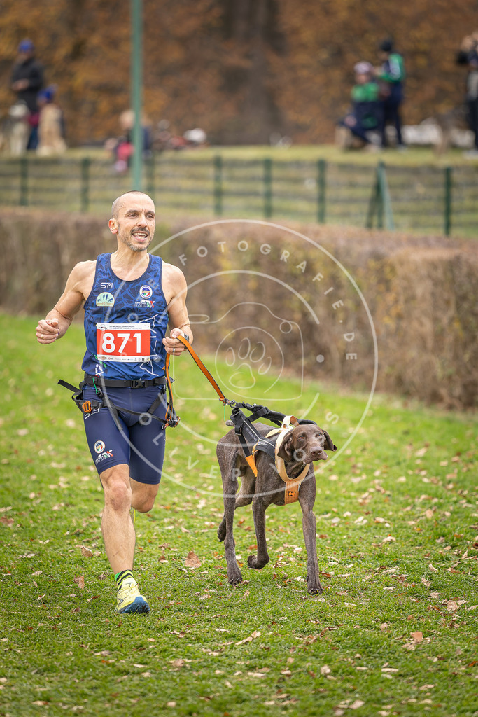 CaniXpix_DV3A6760 | Hundefotografie, Tierfotograf, Pfotenfotografie, Fotoshooting Hund, Hunde Portrait, Hundesport, Hundeportraits, Heideshooting, Hunde, Sportfotograf, Hundefotograf, Turnierhundsport, THS,  - Realisiert mit Pictrs.com