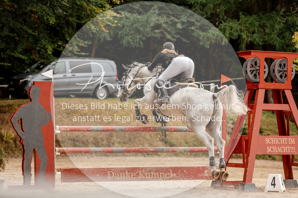 3I6A8022 | Stimmungsvolle Portraits und Reitsportfotografie im Ruhrgebiet und im Münsterland.

Pferdefotografie, Hundefotografie, Tierfotografie, Reportagen, Portraits von Tier und Mensch, Turnierfotografie in Bochum, Recklinghausen, Marl, Haltern am See, Dülmen.. - Realisiert mit Pictrs.com