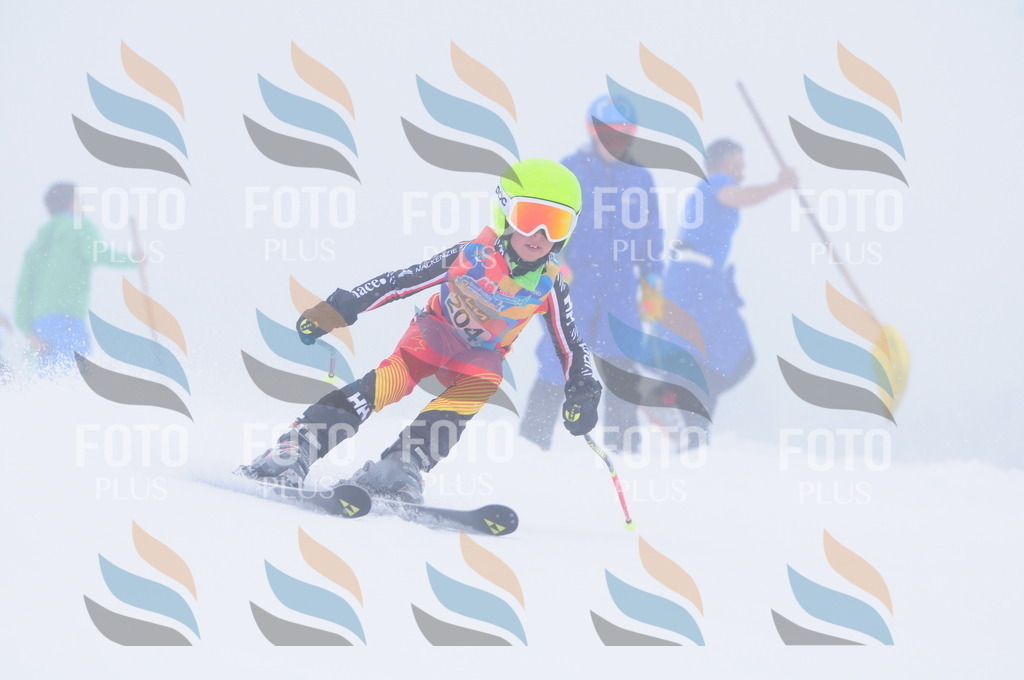 C2223 | holidayphoto