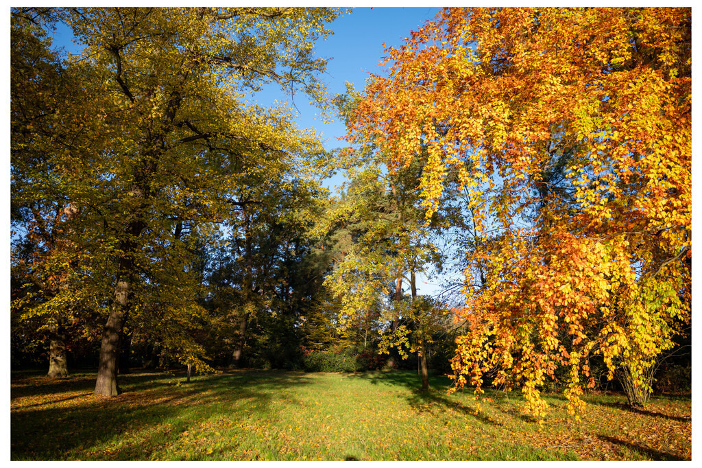 Potsdam (68) | hgt-foto