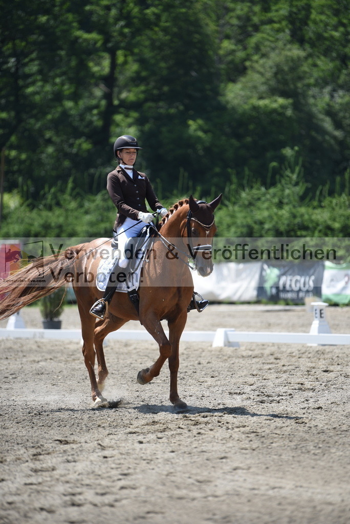 DSC_1393 | equestrian-live-com