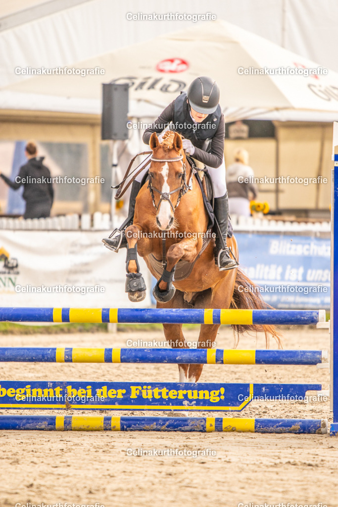 IMG_4529 | Celinakurthfotografie - Realisiert mit Pictrs.com