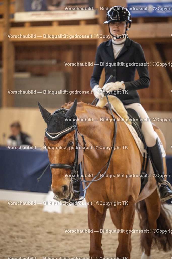 _D5A9597 | Emotionale Pferde- & People-Fotografie rund um Heidelberg, Leimen & Umgebung. Natürliche Fotos von Pferd, Mensch & Familie. Jetzt Termin sichern!