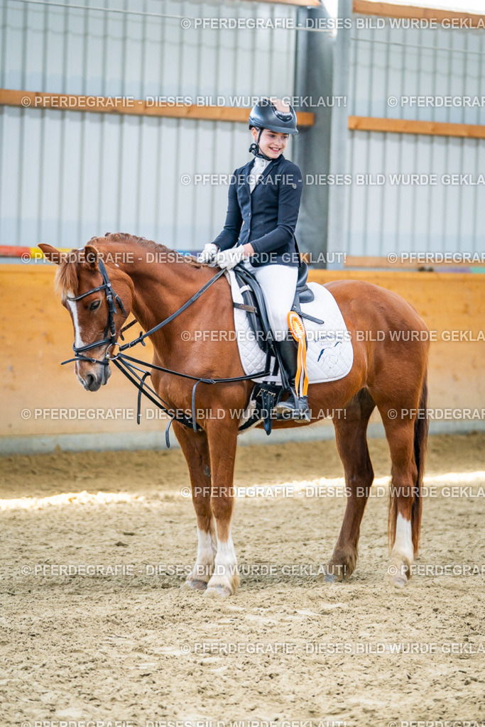 DSC03071 | Pferdegrafie