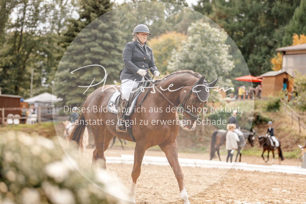 3I6A7775 | Stimmungsvolle Portraits und Reitsportfotografie im Ruhrgebiet und im Münsterland.

Pferdefotografie, Hundefotografie, Tierfotografie, Reportagen, Portraits von Tier und Mensch, Turnierfotografie in Bochum, Recklinghausen, Marl, Haltern am See, Dülmen.. - Realisiert mit Pictrs.com